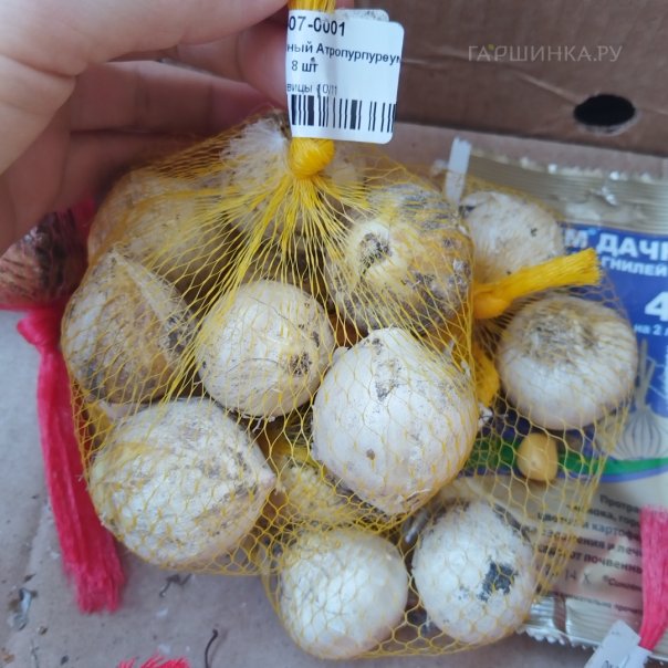 превью изображения отзыва