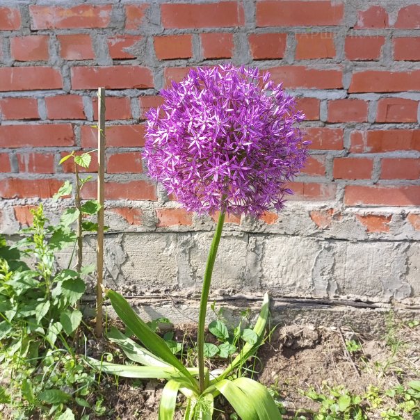 превью изображения отзыва