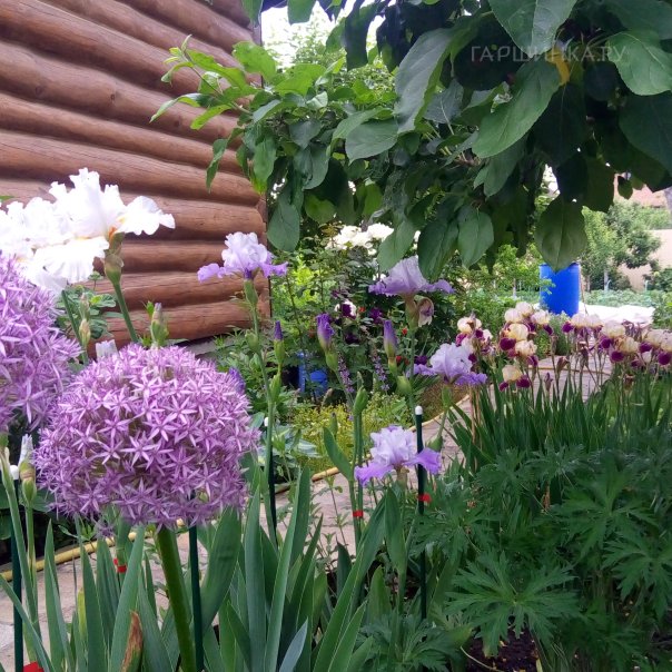 превью изображения отзыва