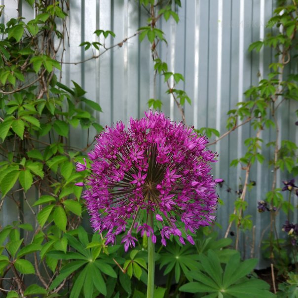 превью изображения отзыва