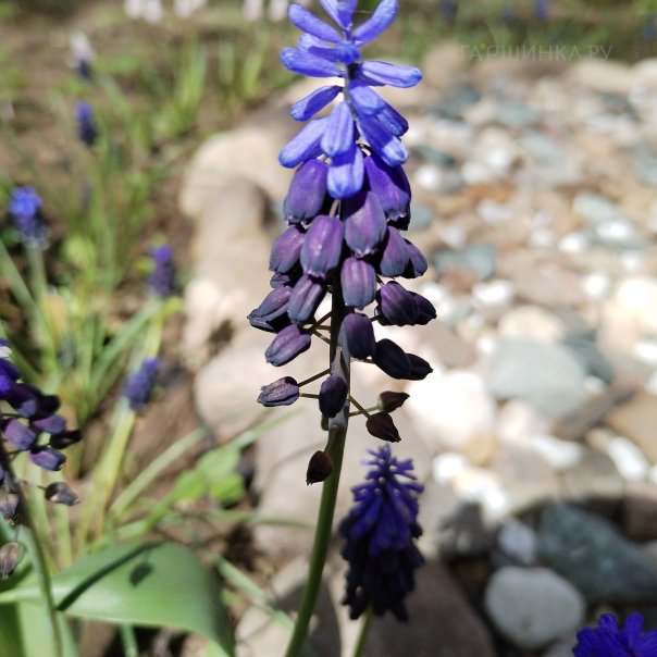 превью изображения отзыва