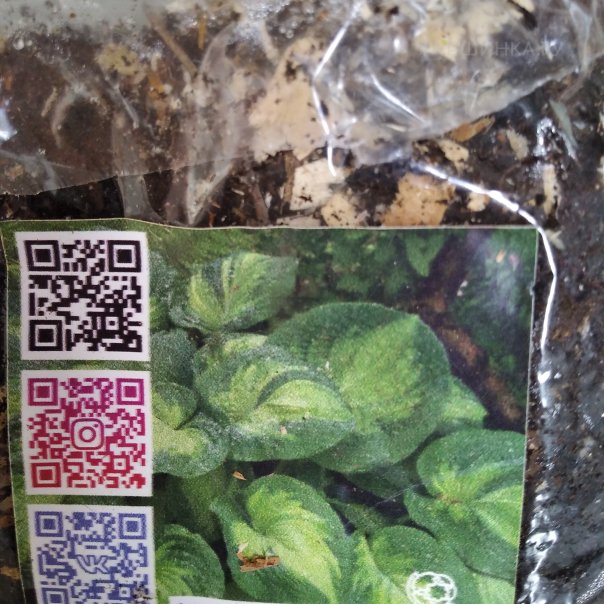 превью изображения отзыва