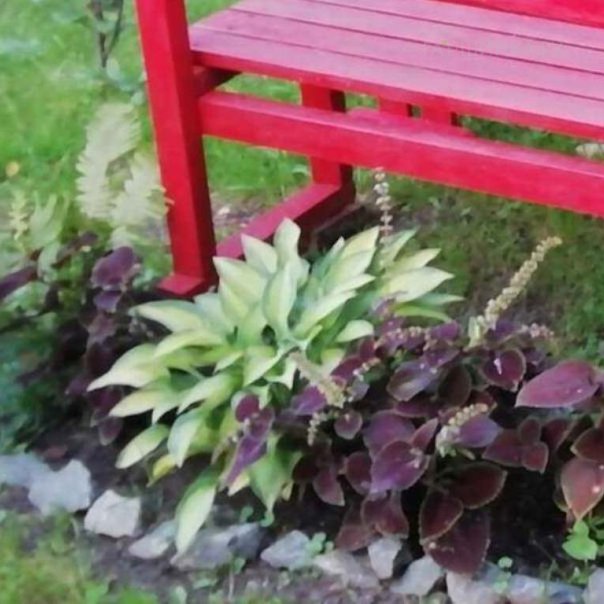 превью изображения отзыва