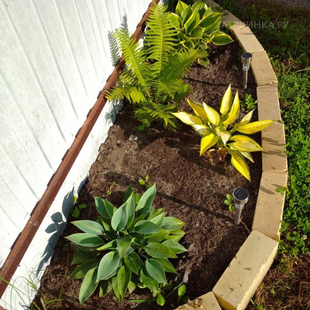 превью изображения отзыва