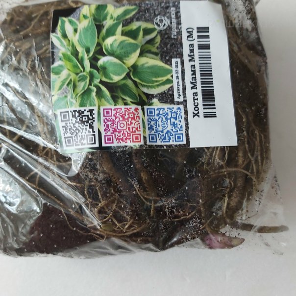 превью изображения отзыва