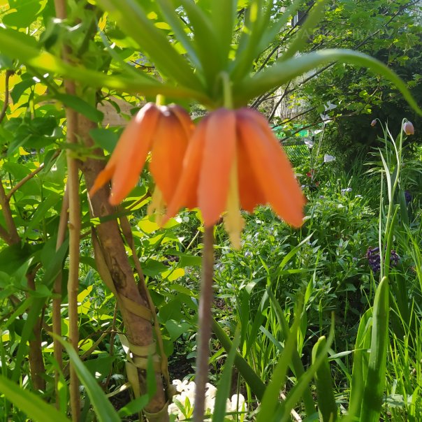 превью изображения отзыва