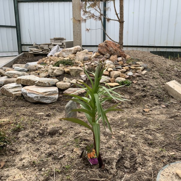 превью изображения отзыва