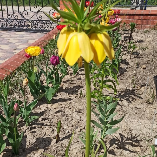 превью изображения отзыва