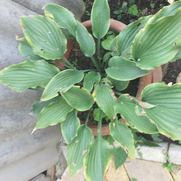 превью изображения отзыва