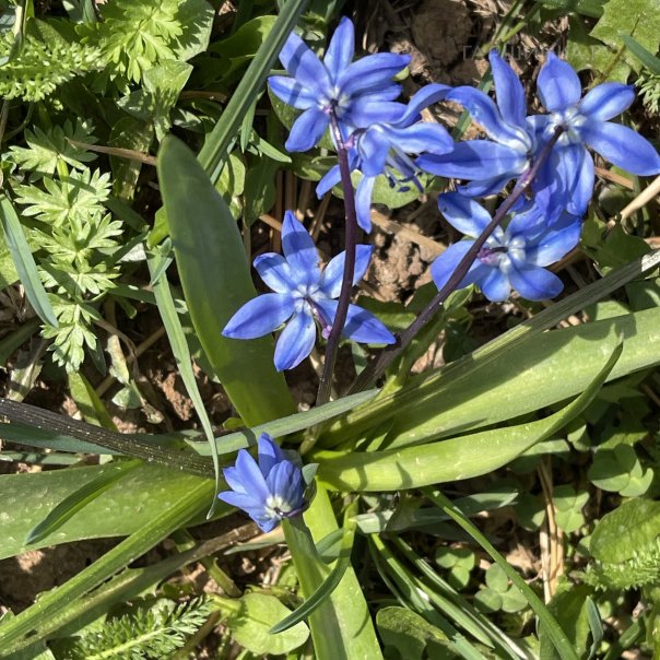 превью изображения отзыва