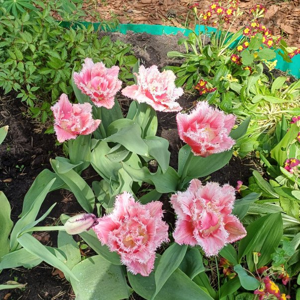 превью изображения отзыва