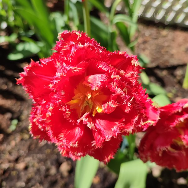 превью изображения отзыва