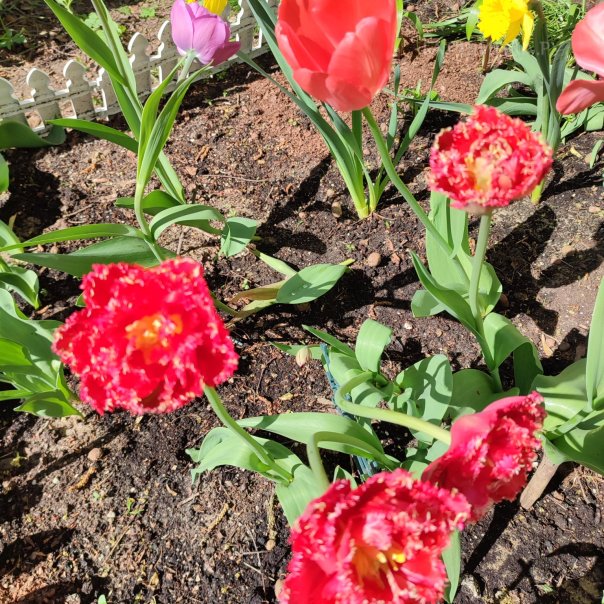 превью изображения отзыва