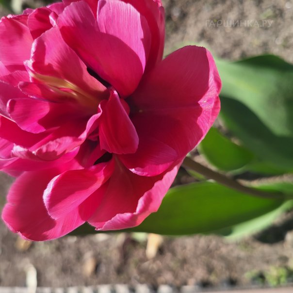 превью изображения отзыва