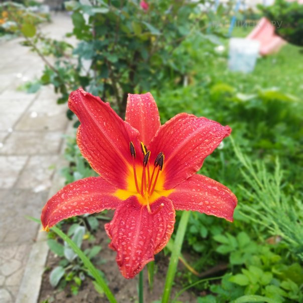 превью изображения отзыва