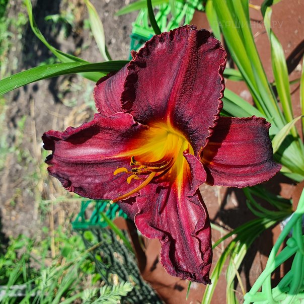 превью изображения отзыва