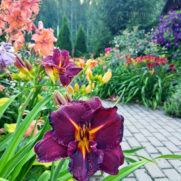 превью изображения отзыва