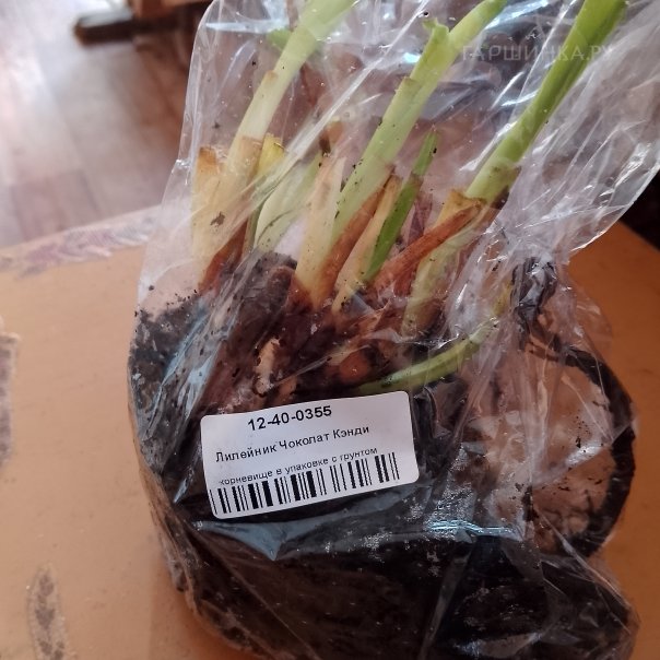 превью изображения отзыва