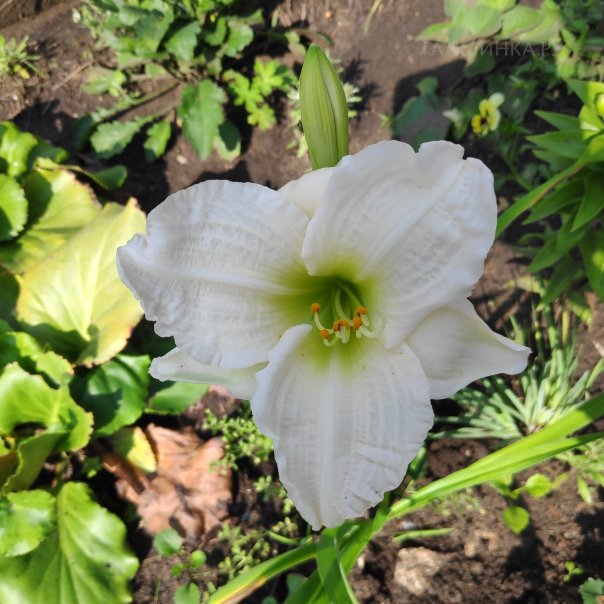 превью изображения отзыва