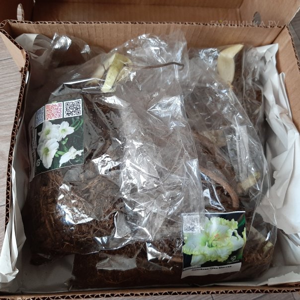 превью изображения отзыва