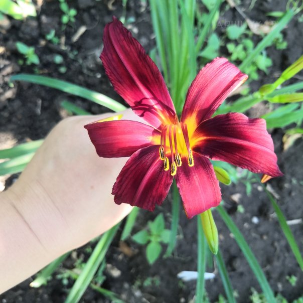 превью изображения отзыва