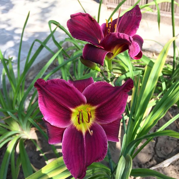 превью изображения отзыва