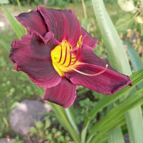 превью изображения отзыва