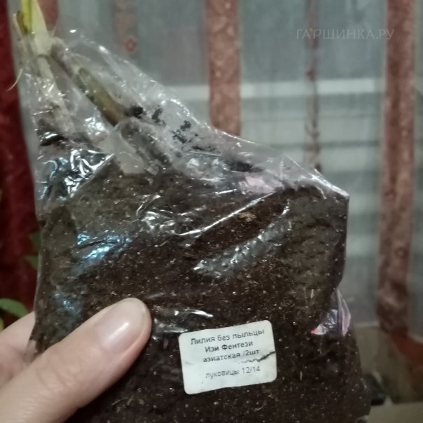 превью изображения отзыва