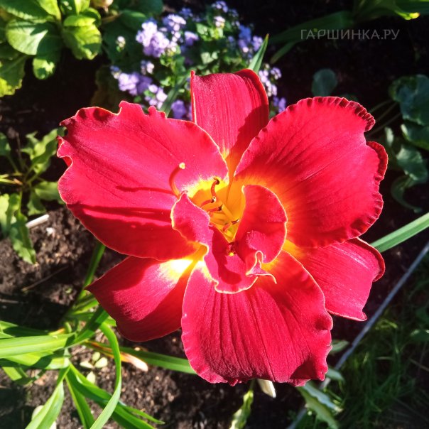 превью изображения отзыва