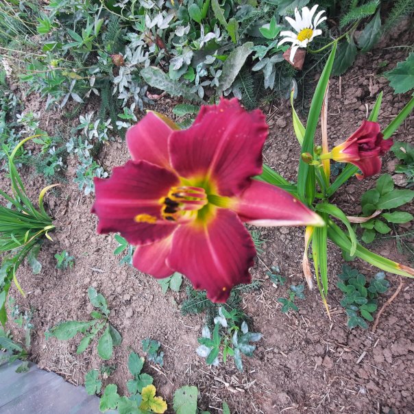 превью изображения отзыва