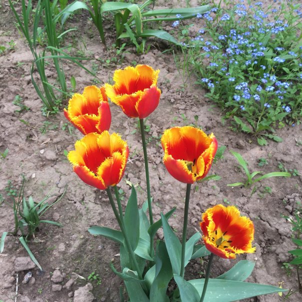 превью изображения отзыва