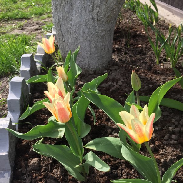 превью изображения отзыва