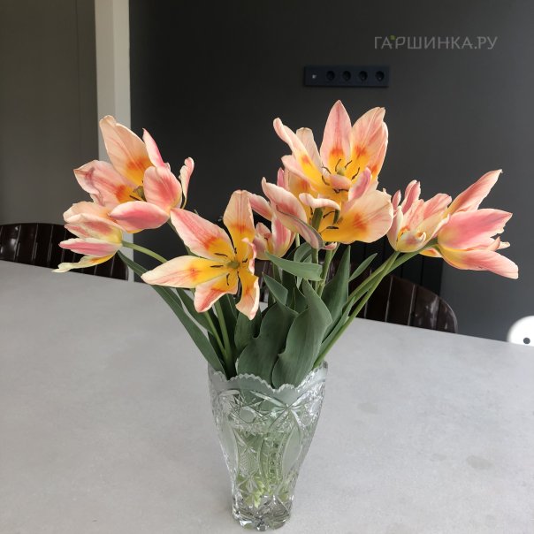 превью изображения отзыва