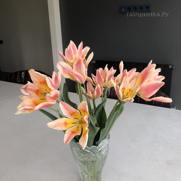 превью изображения отзыва