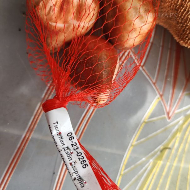 превью изображения отзыва