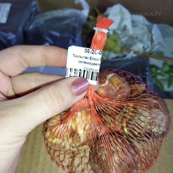 превью изображения отзыва