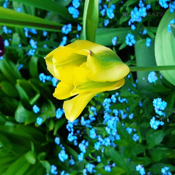 превью изображения отзыва