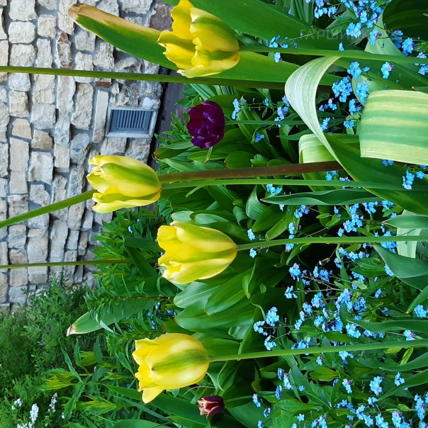 превью изображения отзыва