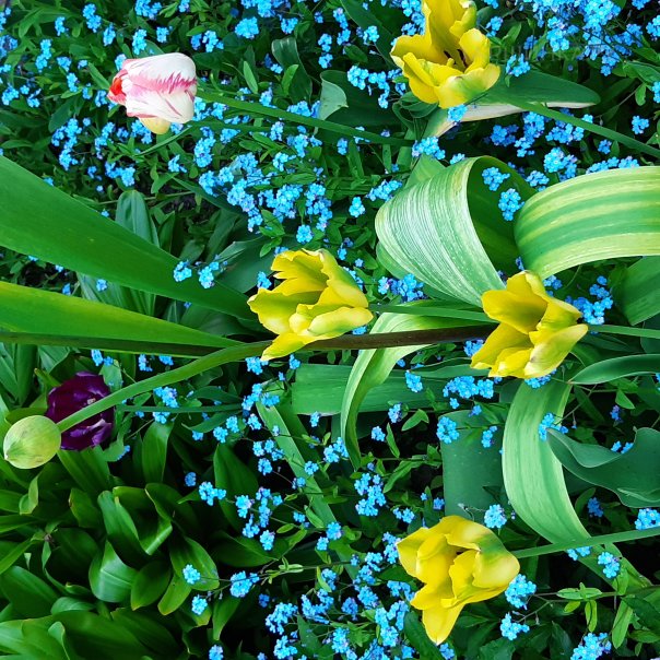 превью изображения отзыва