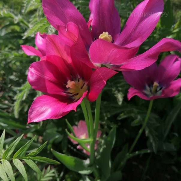 превью изображения отзыва