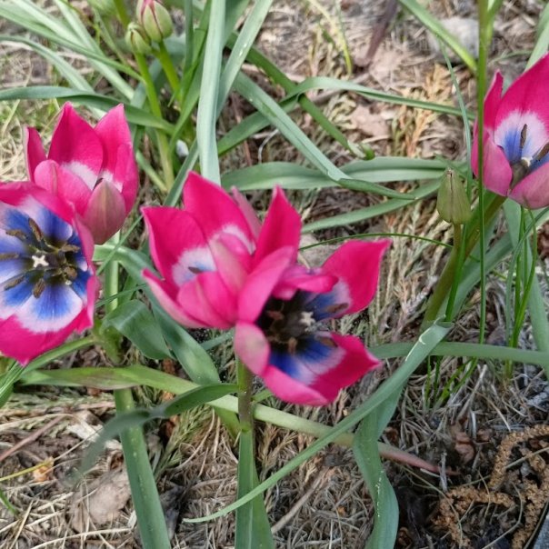 превью изображения отзыва