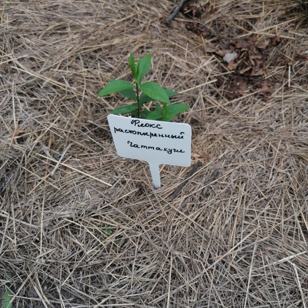 превью изображения отзыва