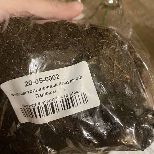 превью изображения отзыва