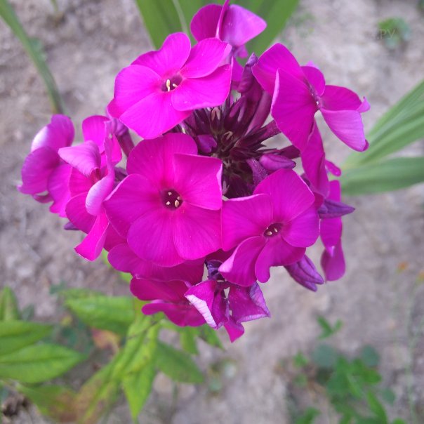 превью изображения отзыва