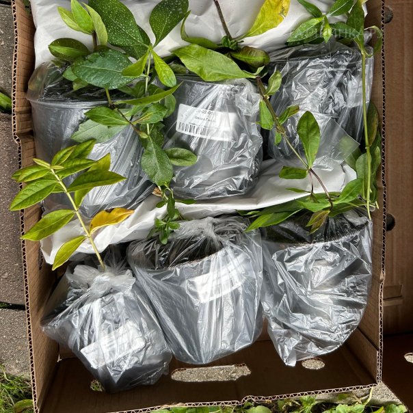 превью изображения отзыва