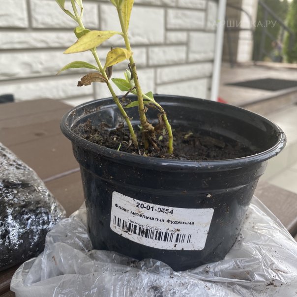 превью изображения отзыва