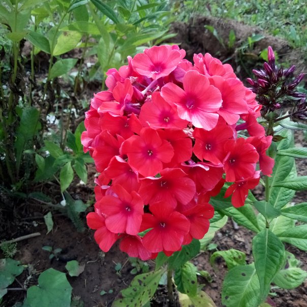 превью изображения отзыва