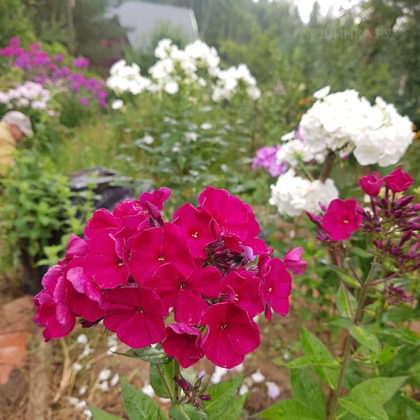 превью изображения отзыва