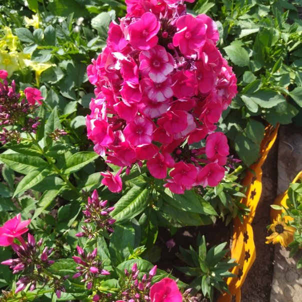 превью изображения отзыва