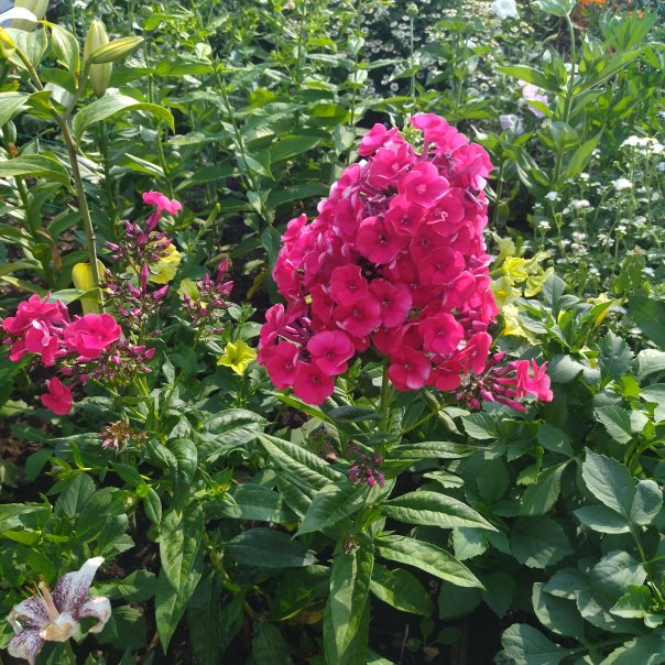 превью изображения отзыва